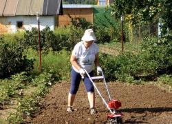 У работавшей в огороде волжской дачницы украли ноутбук