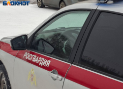 Драка в бане и «бесплатный» шопинг: как прошли праздничные дежурства Росгвардии в Волжском