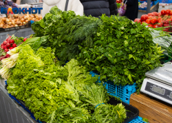 Зимние витамины на тарелке: какие фрукты и овощи спасут от авитаминоза и как их выбирать