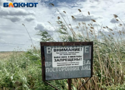 Волжский травит регион через Большой Лиман: ученые доказали экологическую катастрофу