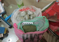 Двое волгоградцев приготовили для продажи более 2,5 тысяч разовых доз марихуаны