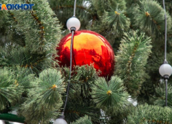 Эволюция новогоднего стола: от селедки под шубой до авокадо-тартаров