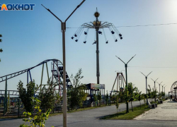 Почти 4 миллиона на полив: в Волжском объявили тендер для городского парка