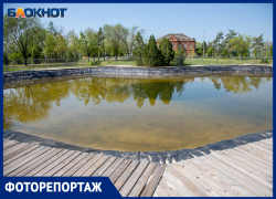 Искусственный пруд появится в парке «Волжский»