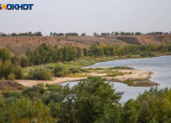 Жителей Волжского приглашают написать экологический диктант