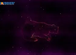 Станет сложнее игнорировать проблемы со здоровьем: гороскоп на 13 марта