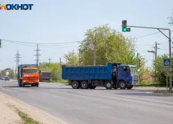 Для волжан ввели ограничения на пребывание в лесах