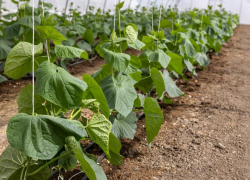 Волгоградские аграрии готовятся к новому сезону