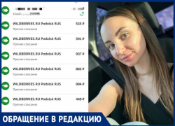 Мошенники списали деньги с карты волжанки через «Вайлдберриз»: как избежать потерь