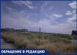 «Пожар обеспечен?»: волжанин пожаловался на заросшую сухой травой автостоянку