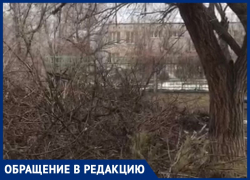 Волжане перепробовали все способы, но УК не спешит убирать ветки со двора