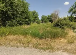 Волжанка пожаловалась на нескошенную траву возле жилых домов