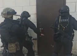Задержание аферистов, обманувших фермера, попало на видео в Волгоградской области