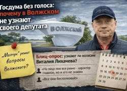 Госдума без голоса: почему в Волжском не узнают своего депутата