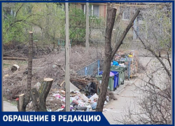 «Месячник по благоустройству провалился»: волжанка сняла на видео несанкционированную свалку