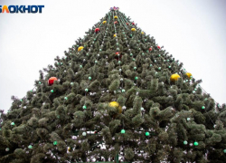 Вторая жизнь новогодних елок: Волжский включился в экологический «Елковорот»