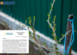 Более 7 миллионов долга: почему СНТ «Строитель» в Волжском остался без воды