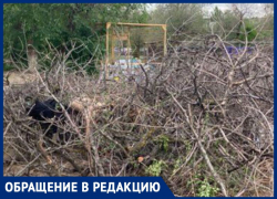 «Деньги за вывоз мусора уходят в никуда», - волжанин о горе веток