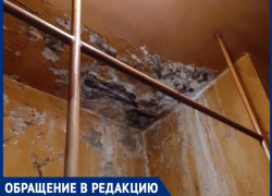 "Волжский противотуберкулезный диспансер - филиал Ада на Земле", - волжанка