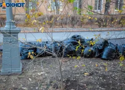 Волжскую молодежь приглашают изменить город к лучшему