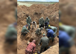 Эхо Сталинградской битвы: прокуроры обнаружили останки 188 советских солдат