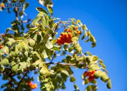 Ясный и тёплый день: погода в Волжском на 16 августа