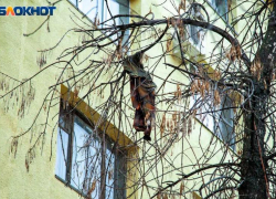 2-летний ребенок выпал из окна пятого этажа в Красноармейском районе Волгограда