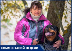 Как не стать жертвой бродячих собак и отбиться от стаи: советы кинолога из Волжского