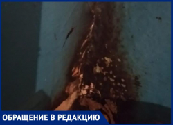 «Грибок, развалины, трещины»: волжанка об условиях проживания