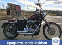 В Волжском продается мощный Harley Davidson