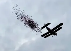Волжан поздравят с воздуха: тысячи поздравительных открыток выпадут с неба