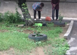 Выпала из окна многоэтажки: очевидцы нашли тело женщины в Волжском