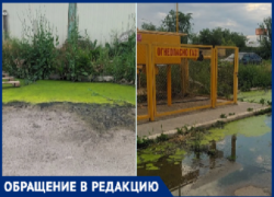Возле огнеопасного объекта в Волжском из-за прорыва канализации образовалось зловонное болото