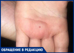 «Что творится на улице - ребенка покусал жук! » - волжанка