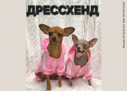 Товар дня. Скидка 30% на одежду для ваших питомцев в «Дрессхенд»