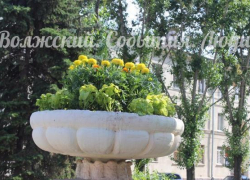 В Волжском расцветает все больше клумб