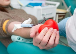 Полсотни студентов в Волжском добровольно сдали кровь