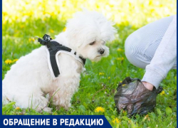 "Владельцы собак совсем обнаглели", - волжанка