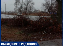 «Ветки спилили, складировали и оставили на зиму», - волжанин