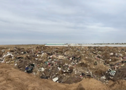 В Волжском незаконная свалка испортила почти 2,7 тысячи квадратных метров почвы