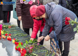 Волжане отмечают День воинской славы России