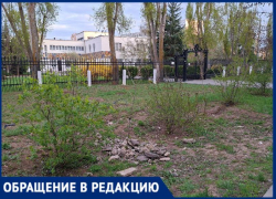 Куда делись сосны и почему не убирают аллею? Волжане задают вопросы по 26 микрорайону