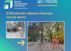 Опасная ветка над качелями: в Волжском оперативно устранили угрозу на детской площадке