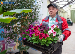 История ботанического сада в Волжском началась с указа Логинова