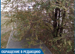 «Дорожка новая, а проблемы старые», - волжанка
