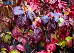 Сильная магнитная буря накроет Волжский в субботу: прогноз