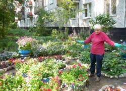 Жители 60 дворов Волжского подали заявку на участие в городском конкурсе
