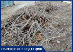 «Невозможно смотреть на этот бардак»,- жители Волжского жалуются на свалку спиленных веток