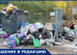 «Это уже не двор, а помойка:» волжане в ярости из за мусорного беспредела