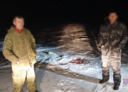 Под Волжским разоблачили двух браконьеров из-за тушки сайгака в машине родственника